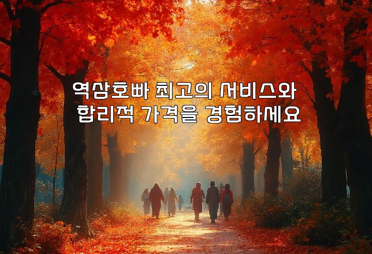 역삼호빠 최고의 서비스와 합리적 가격을 경험하세요 역삼호빠 최고의 서비스와 합리적 가격을 경험하세요