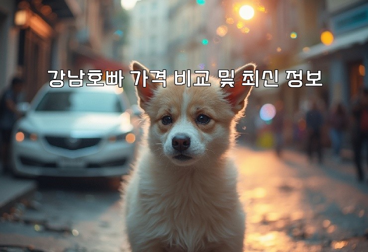 강남호빠 가격 비교 및 최신 정보