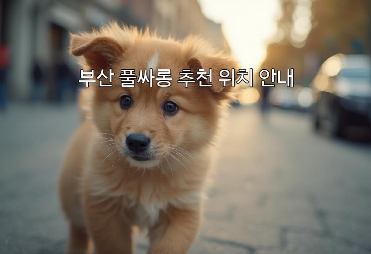 부산 풀싸롱 추천 위치 안내